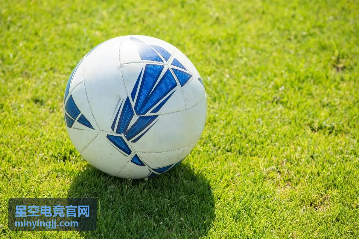 星空电竞官网会员战队数据订阅面板示意