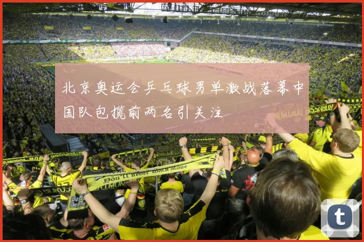 北京奥运会乒乓球男单激战落幕中国队包揽前两名引关注