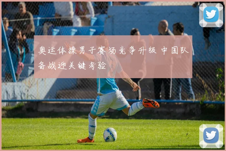 奥运体操男子赛场竞争升级 中国队备战迎关键考验