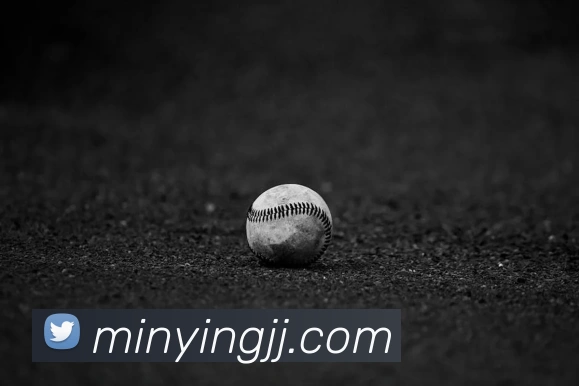 开云官方在线登陆入口平台生态图