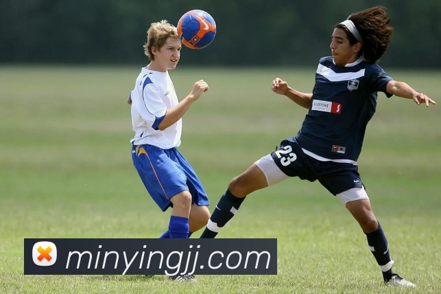 开云官方在线登陆入口全站App 开云官方在线登陆入口全站App